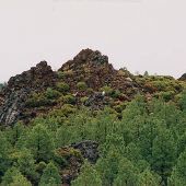 Sisters Area Rocky Buttes