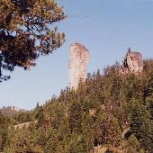 Stein Pillar