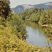 Willamette River