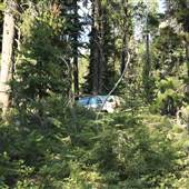 Ponds - Fourmile Lake