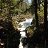 Rogue River Gorge
