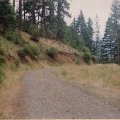 Wood Creek - South Umpqua District