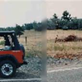 Newton Creek Road - near Roseburg