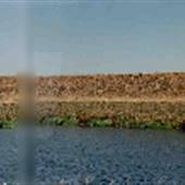 Sauvie Island - Fazio Road