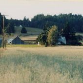 Ribbon Ridge and North Valley Road Farm