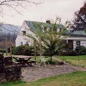 Spring Creek Holly Farm