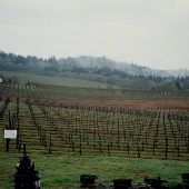 Bethel Heights Winery