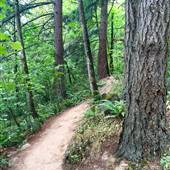 Mt Talbert Nature Park