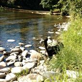 Moonshine County Park