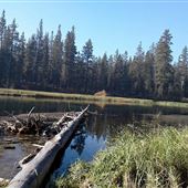 Big River Campground