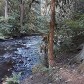 Camp Creek Campgound