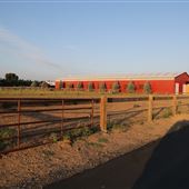 Tornello Farm