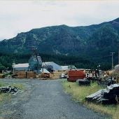 Bear Mountain Forest Products