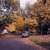 Laurelhurst neigborhood - Portland