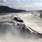 Willamette Falls