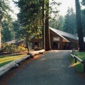 Camp Tamarack