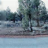 Goodrich Road - east of Sisters