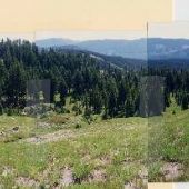 Mount Hood Meadows - Upper Meadow