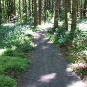 L.L. Stub Stewart Memorial State Park