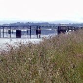 Lewis & Clark River Bridge