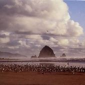 Cannon Beach
