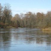 Grand Island Willamette River