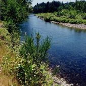 Hooten-Metro Property