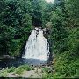 Youngs River Falls