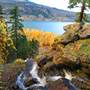 Columbia Gorge fall colors
