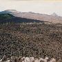 McKenzie Pass Lava Flow