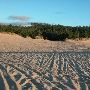 Spinreel Dunes