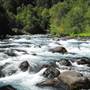McKenzie River