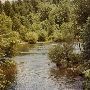 McKenzie River