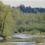 Sandy River