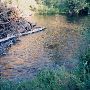 Tumalo Creek