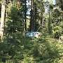 Ponds - Fourmile Lake