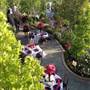 Belle Fiore Winery