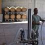 Belle Fiore Winery