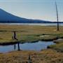 Sparks Lake