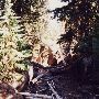 Sparks Lake