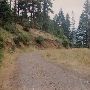 Wood Creek - South Umpqua District