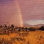 Upper John Day Valley
