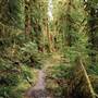 Old Salmon River Trail