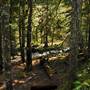 Old Salmon River Trail