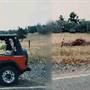 Newton Creek Road - near Roseburg