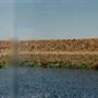 Sauvie Island - Fazio Road