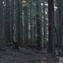 Silver Falls State Park