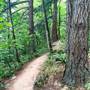 Mt Talbert Nature Park