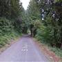 S Viola Welch Rd.