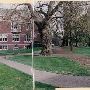 Reed College